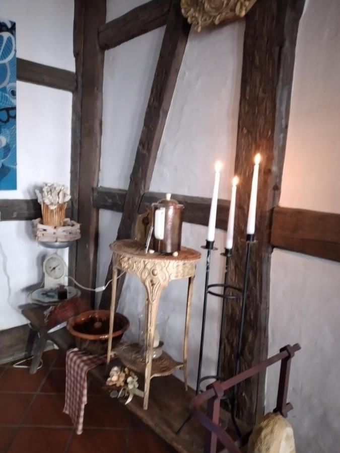 Historische Raume Uber Mittelaltergewolbe Mit Terrasse Lägenhet Erfurt Exteriör bild